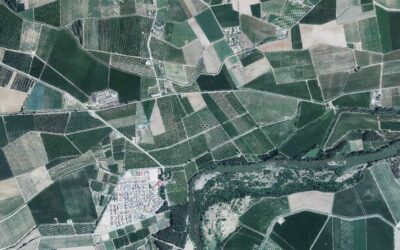 El SIGPAC (Sistema de Información Geográfica de Parcelas Agrícolas) ofrece nuevos servicios de consulta